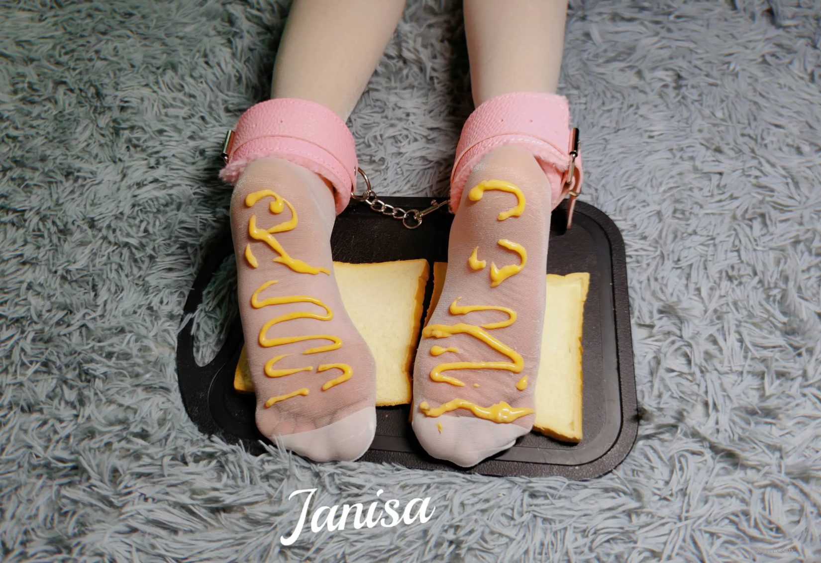  ģ coserͼ Janisa ߻ͼ (16P) P.1 