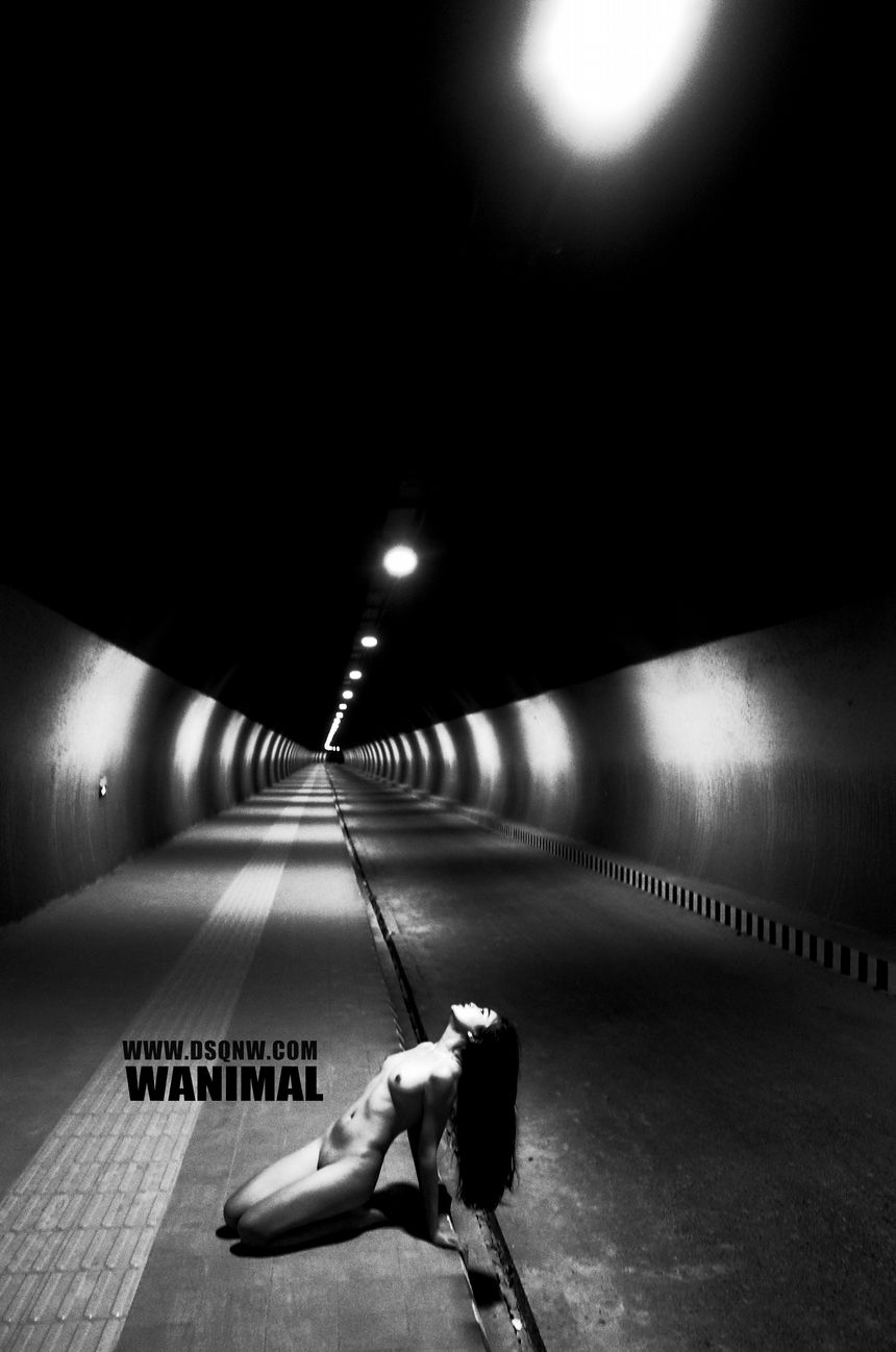 ʥ 7¹ WANIMALٷƷ ͼ[72P] P.3