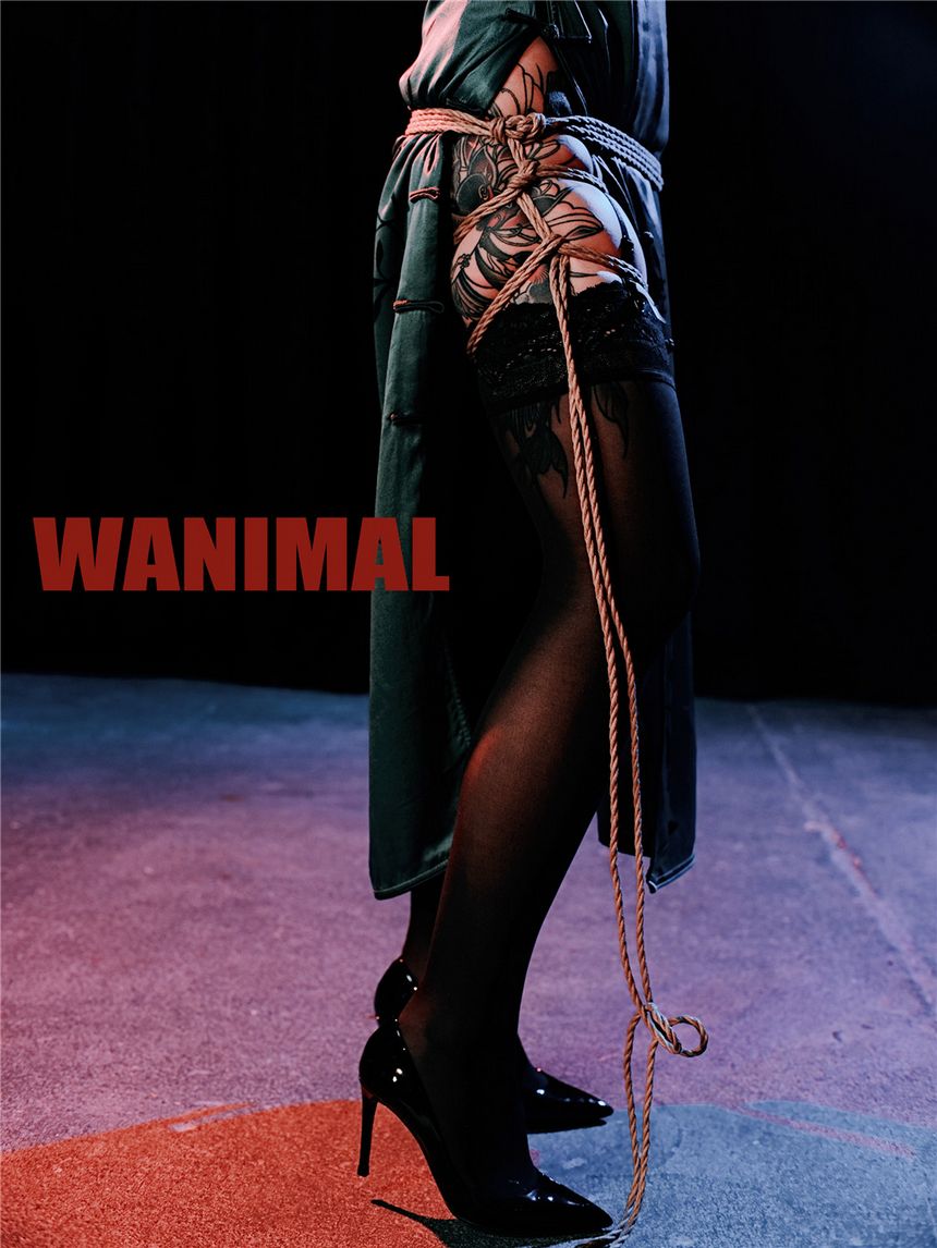 ڹ () WANIMALٷƷ 20196 [87P] ͼ P.4